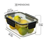 Fridge Storage Container