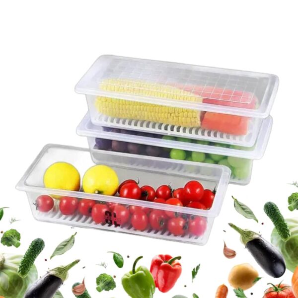 Fridge Storage Container