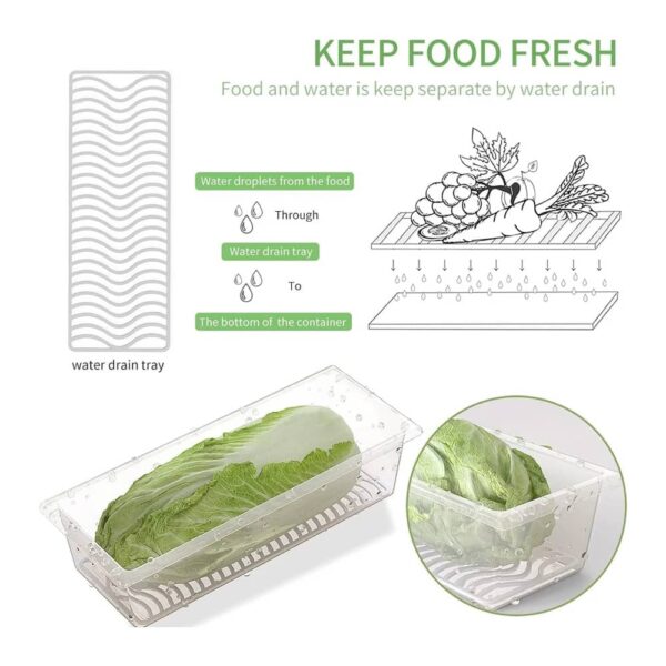 Fridge Storage Container