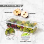 Fridge Storage Container