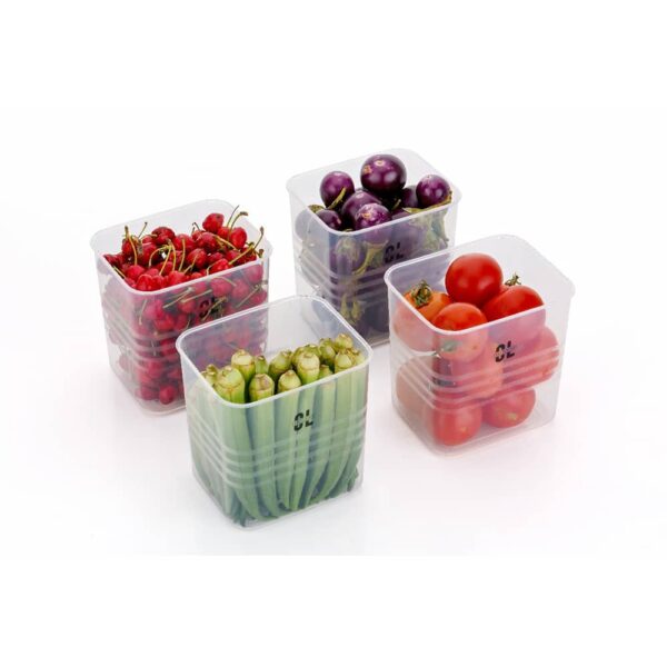 Fridge Storage Container