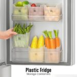 Fridge Storage Container