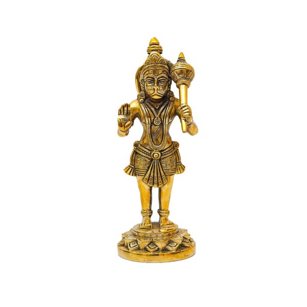 Hanuman Idol