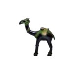 Camel Idol
