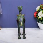 Camel Idol