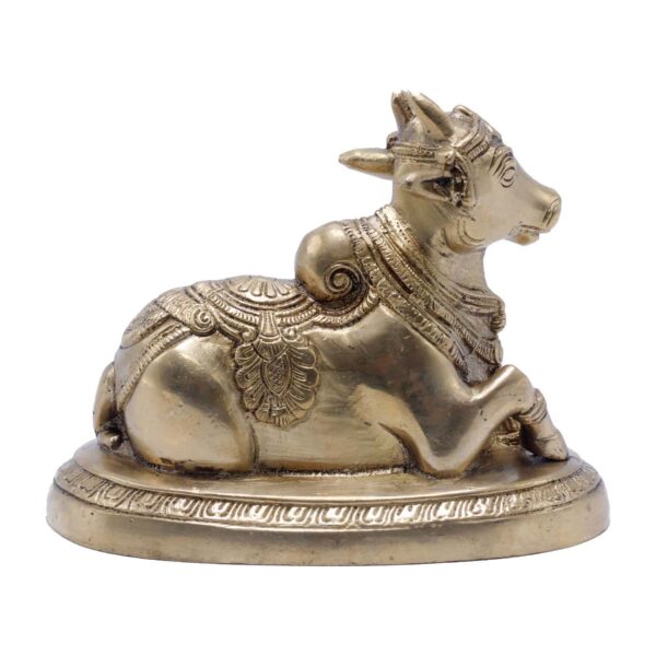 Nandi Idol