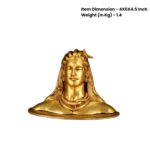 Shiva Idol
