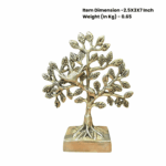 Kalpavriksha Tree