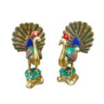 Peacock Pair