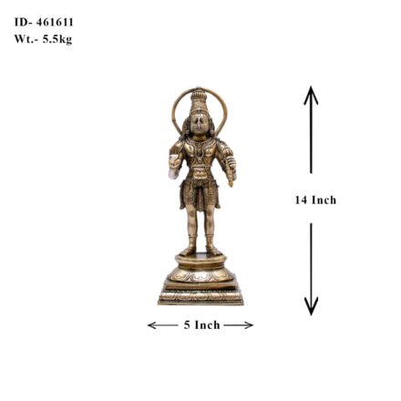 Hanuman Idol